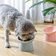 Plastic Multipurpose Bowl, Food Bowls (1 Pc) - justgrabit.in | Just Grab It