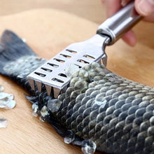 Stainless Steel Fish Scale Remover Scraper – Sawtooth Kitchen Tool - Justgrabit Inc.