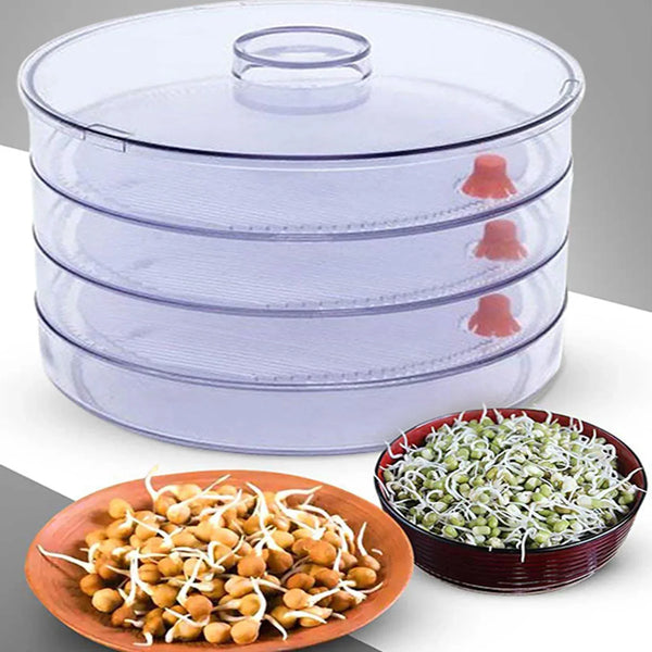Plastic 4 Compartment Sprout Maker, White - justgrabit.in | Just Grab It