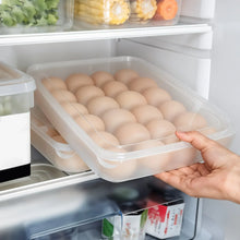 Plastic Egg 24 Grid Storage Container Holder for Refrigerator Egg Tray Holds 24 Eggs (1 Pc) - Justgrabit Inc.