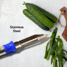 Stainless Steel 2 - in - 1 Vegetable Peeler - Multifunctional Grater with Hanging Ring (1 pc) - Justgrabit Inc.