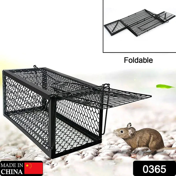 Foldable Live Mouse Trap – Easy Catch & Release Cage for Mice, Squirrels, Voles & Hamsters - justgrabit.in | Just Grab It