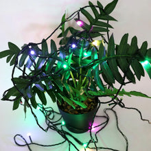 LED Decorative String Fairy Lights (9 Meter) - Justgrabit Inc.