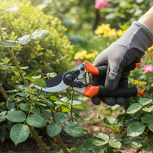 Heavy Duty Gardening Pruning Tool Combo Set (2 Pc Set) - justgrabit.in | Just Grab It