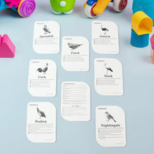 KidKraft Early Learner Educational Flashcards – 32 Birds - Justgrabit Inc.