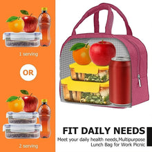 Lunch Box Bag for Women Men Insulated Lunch Bag With Zipper (1 Pc) - Justgrabit Inc.