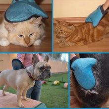 Pet Grooming Glove – Humanized Descending Brush (1 Pc) - justgrabit.in | Just Grab It