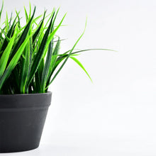 Artificial Potted Plant with Pot - Justgrabit Inc.