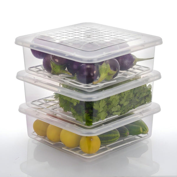 Plastic Food Storage Containers with Removable Drain Tray and Lid (3 Pcs Set) - justgrabit.in | Just Grab It