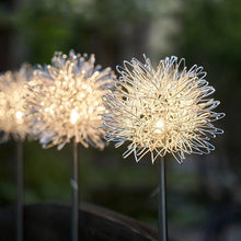 Solar Powered Dandelion Garden Lights (2 Pc) - justgrabit.in | Just Grab It