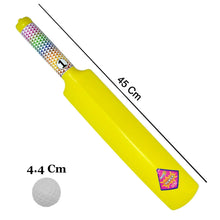 Plastic Cricket Bat Ball Set for Boys and Girls - Justgrabit Inc.