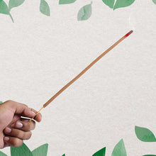 Premium Incense Sticks / Agarbatti for Everyday Use for Home, Office, Meditation and Pooja for Puja, & Other Festive Occassions, Agarbatti (10 Pcs Sticks / 40 Cm / Stand not included / Mix Flavor) - justgrabit.in | Just Grab It