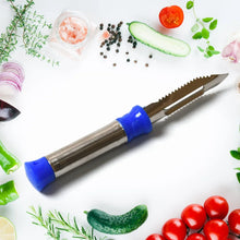 Stainless Steel 2 - in - 1 Vegetable Peeler - Multifunctional Grater with Hanging Ring (1 pc) - Justgrabit Inc.