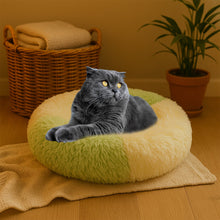 Ultra Soft Fluffy Pet Bed for Cats & Small Dogs – 1 Pc - justgrabit.in | Just Grab It