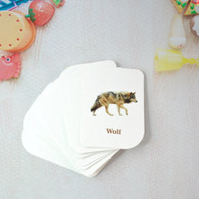 Kidkraft 32 - Piece Animal Flash Cards Set - Justgrabit Inc.