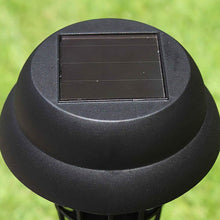 Medium Garden Solar Powered LED Mosquito Trap / Bug Zapper (1 Pc) - justgrabit.in | Just Grab It