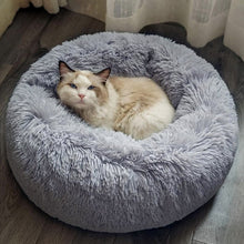 Medium Round Dog Beds for Small, Medium Dogs and Cats (1 Pc) - justgrabit.in | Just Grab It