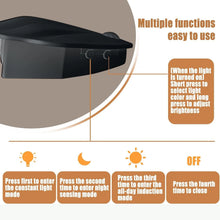 Shell - Shaped Motion Sensor Night Light - justgrabit.in | Just Grab It