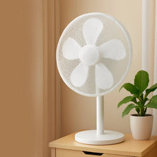 Large Decorative Fan Cover (1 Pc) - Justgrabit Inc.
