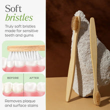 cute ladybug toothbrush holder with toothbrush combo set - justgrabit.in | Just Grab It