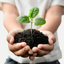 Organic Vermicompost Black Soil for Plants Health Manure (1 KG Approx) - justgrabit.in | Just Grab It