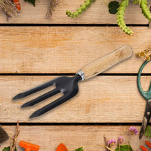 Hand Weeding Fork (Steel, Black) - Justgrabit Inc.