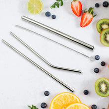 Reusable Stainless Steel Straws with Case for Drinking (4 Pc, Eco - Friendly) - Justgrabit Inc.