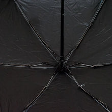 5 Fold Manual Open Umbrella With Capsule Case (1 Pc) - Justgrabit Inc.