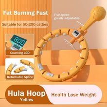 Smart Fitness Hula Hoops with Spinning Ball and Intelligent Counter (1 Pc / Loose) - justgrabit.in | Just Grab It