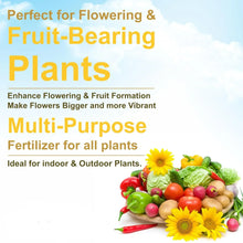 Mustard Cake Fertilizer For Plants 900gm - Justgrabit Inc.