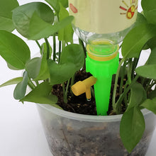 Green Plant Watering Spikes self Watering Spikes (1 Pc) - justgrabit.in | Just Grab It