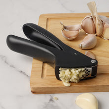 Manual Garlic Press Crusher Tool (1 Pc) - justgrabit.in | Just Grab It
