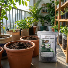 Black Organic Soil Fertilizer for Home Gardening (1 Pc, 1 Kg) - justgrabit.in | Just Grab It