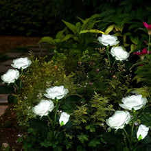 Solar Powered Decorative Garden Flower Lights Set of 2 - justgrabit.in | Just Grab It