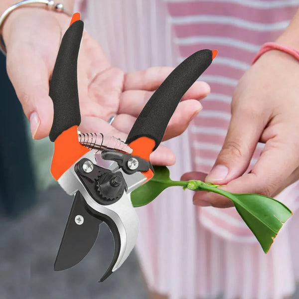 Garden Shears Sharp Cutter Pruners Scissor, Pruner, flower cutter - Justgrabit Inc.