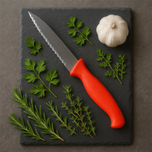 Stainless Steel Serrated Kitchen Knife (1 Pc) - justgrabit.in | Just Grab It