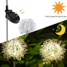 Solar Powered Dandelion Garden Lights (2 Pc) - justgrabit.in | Just Grab It