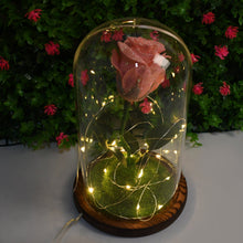 Glass Flower with Led Light Great Gift (1 Set) - justgrabit.in | Just Grab It