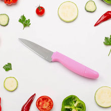 Sharp Fruit Knife (Stainless Steel, Comfortable Grip): 1 Pc - justgrabit.in | Just Grab It