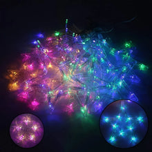 12 Stars LED Curtain String Lights with 8 Flashing Modes for Home Decoration, Diwali & Wedding LED Christmas Light Indoor and Outdoor Light ,Festival Decoration (Multicolor / With Box) - justgrabit.in | Just Grab It