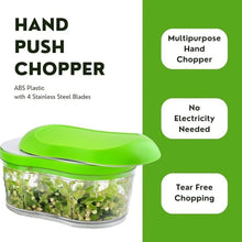 Manual Hand Push Garlic Cutter & Vegetable Chopper (1 pc) - Justgrabit Inc.