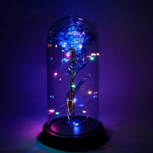 LED - Powered Eternal Rose in plastic Dome (1 Pc / Battery not Included) - Justgrabit Inc.