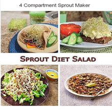 Plastic 4 Compartment Sprout Maker, White - justgrabit.in | Just Grab It