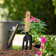 Hand Weeding Fork (Steel, Black) - Justgrabit Inc.