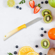 Kitchen Knife with Stainless Steel Blade (1 Pc) - justgrabit.in | Just Grab It