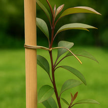 Multipurpose Twist Tie Roll 30m (1 Pc) - Justgrabit Inc.