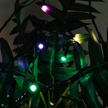 LED Decorative String Fairy Lights (9 Meter) - Justgrabit Inc.
