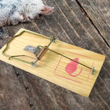 Wooden Mouse Rat Traps (1 Pc) - Justgrabit Inc.