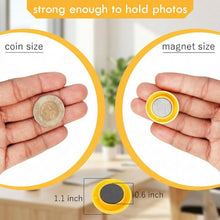 Colorful Round Refrigerator Magnets Set (12 Pc Set) - justgrabit.in | Just Grab It