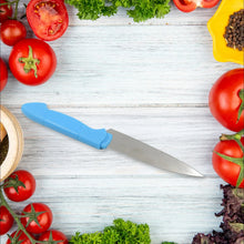 Stainless Steel Fruit Knife, New Sharp and Durable Fruit Knife Small, Comfortable Non - slip Handle, with Protective Cover, Suitable for Most Types of Vegetables and Fruits(1 Pc) - justgrabit.in | Just Grab It